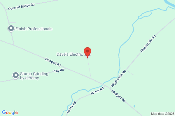 Daves Electric