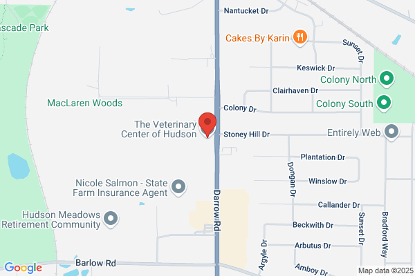 The Veterinary Center of Hudson