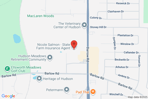 Nicole Salmon - State Farm Insurance Agent