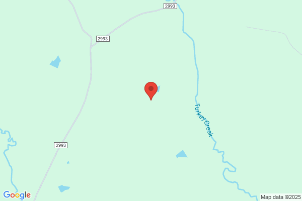 Bush Electric Service