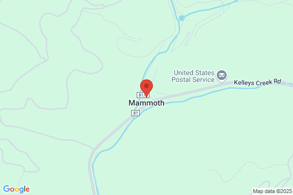 Mammoth Coal Co