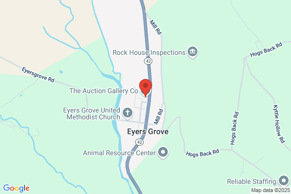 Arthur Wayne Auction Gallery