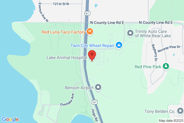 Lake Animal Hospital