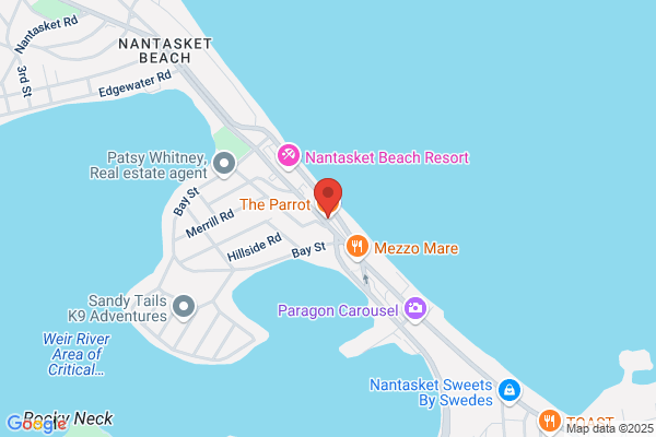 Red Parrot the