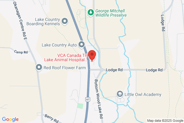 Tri-Lakes Animal Clinic