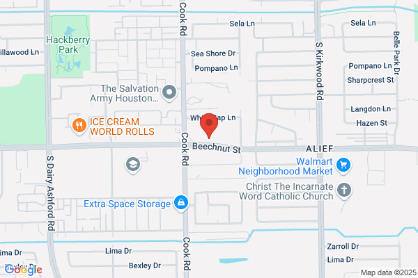 Apple Automotive Services