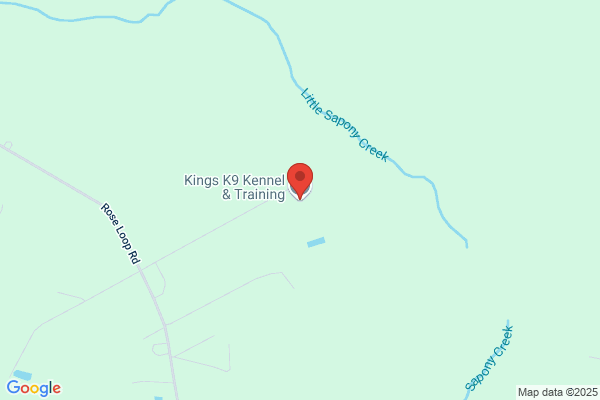 Kings Kennels Dog Training
