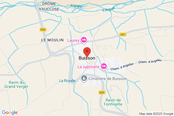 Buison