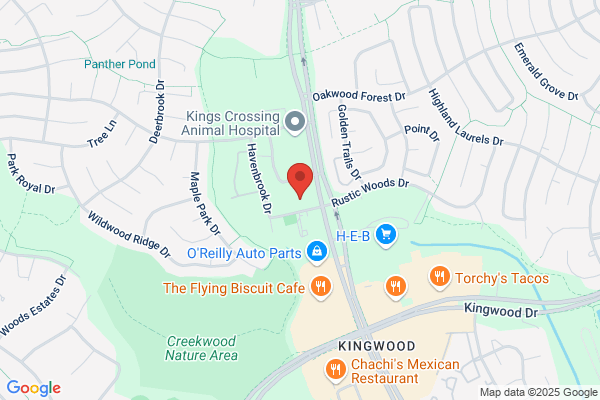 Carus Dental Kingwood
