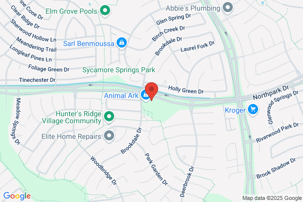 Northpark Dental