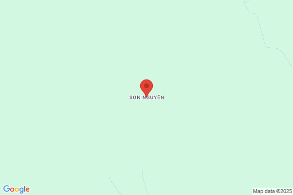 Son Nguyen, DO
