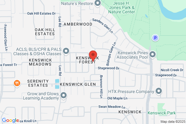 Tree Trimming Service Houston