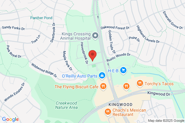 Rhonda Bollman DDS