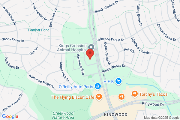 Kingwood Custom Homes