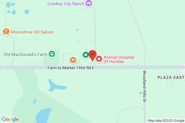 Auto Ranch