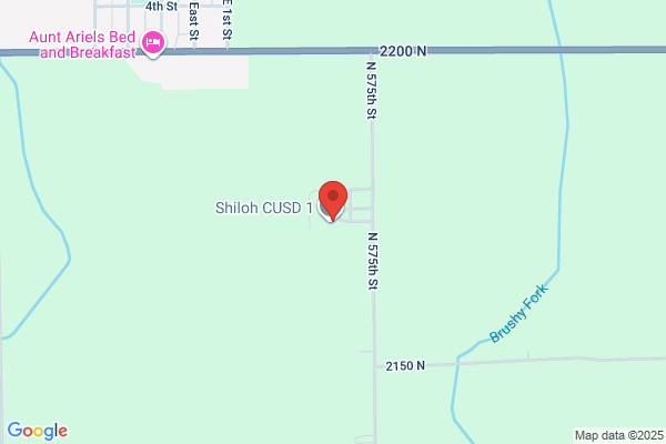 Shiloh Primary Cross Cat