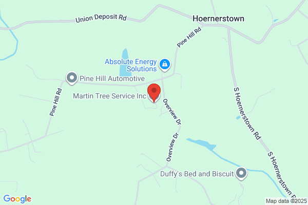 Martin's Tree Service