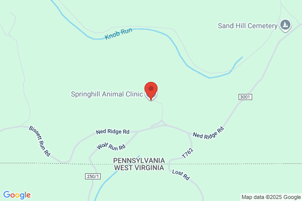 Springhill Animal Clinic