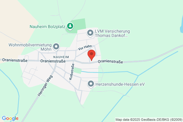 Bodacious Smoked Meats