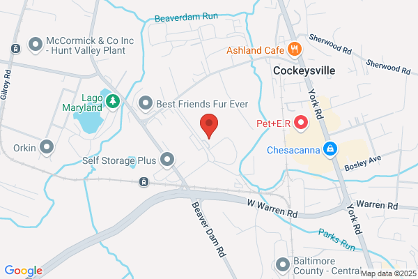 AutoNation Collision Center Hunt Valley