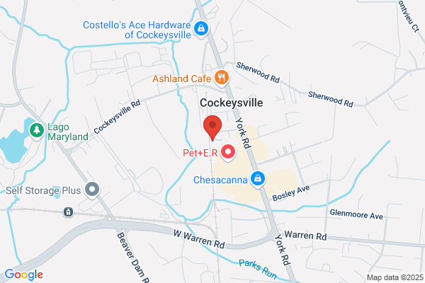 Chesapeake Plant Service