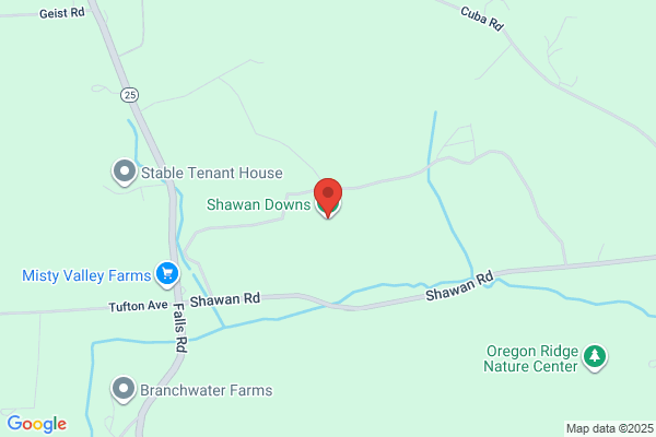 Shawan Downs