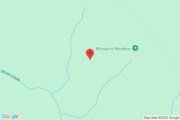 Round Meadow Associates