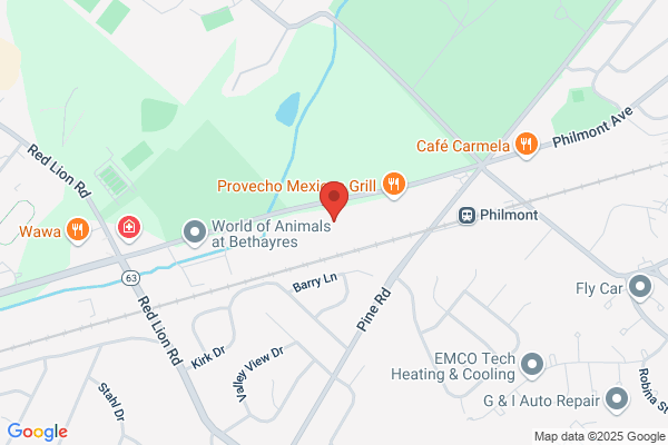 Carlson Depot Auto Inc