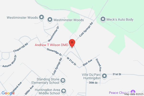 Andrew T Wilson DMD
