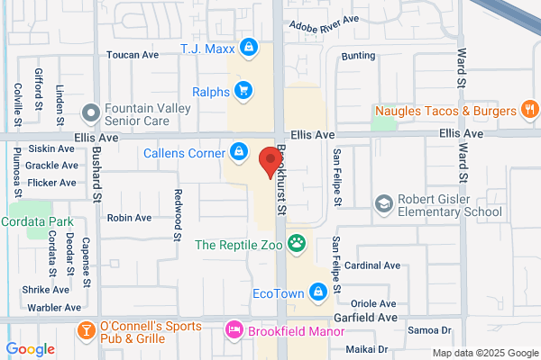 Allied Business Systems Inc
