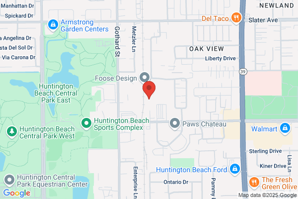 Enhanced Vision Systems Inc