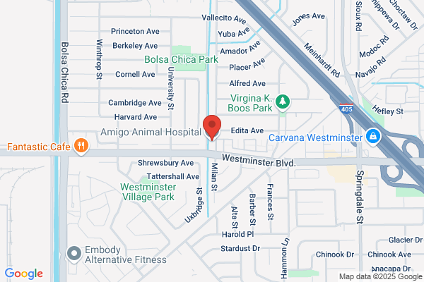 Amigo Animal Hospital