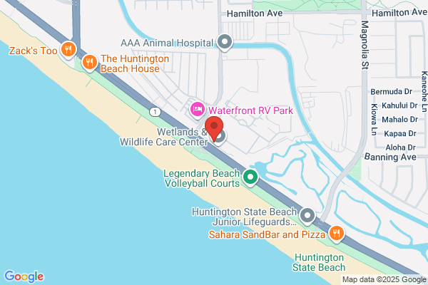 Huntington Beach Wetland Conservancy
