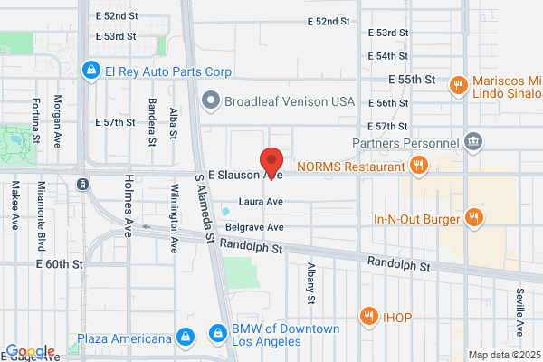 Wire Guard Systems Inc