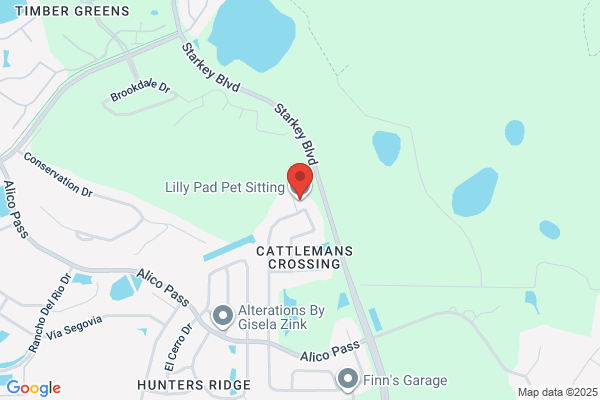 Lily's Pad - A Dog Walking Service