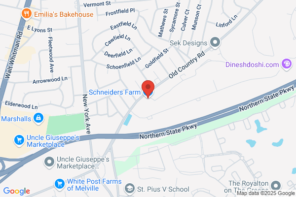 Schneiders