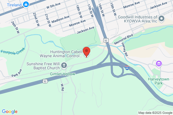 Animals, Animal Control Shelter