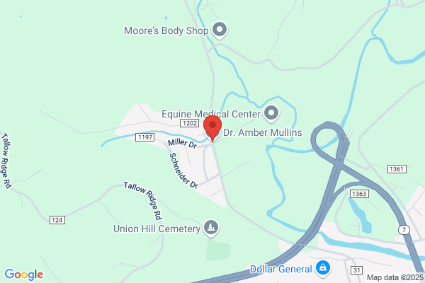 Equine Medical Center