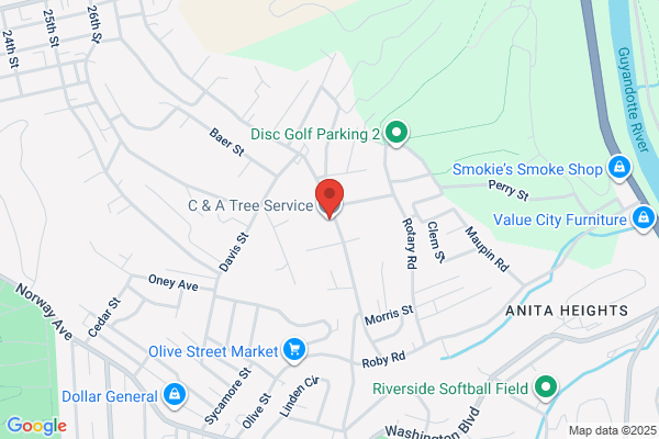 C & A Tree Service