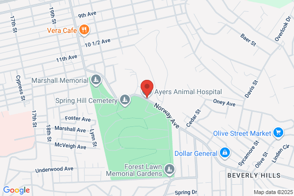 Ayers Animal Hospital