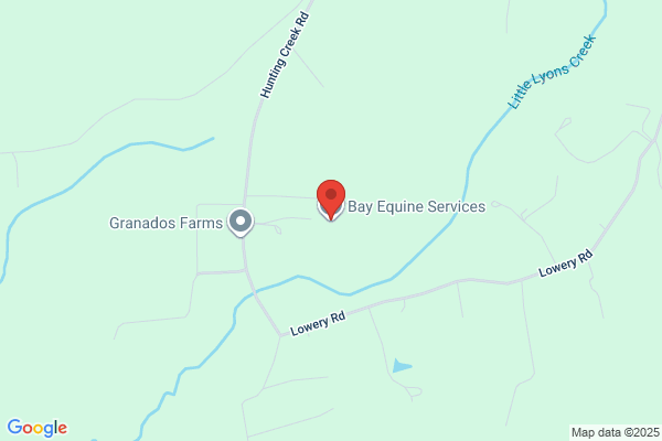 Bay Equine Service