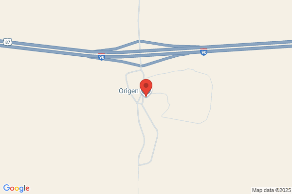 Origen Inc