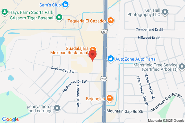 Advance Auto Parts