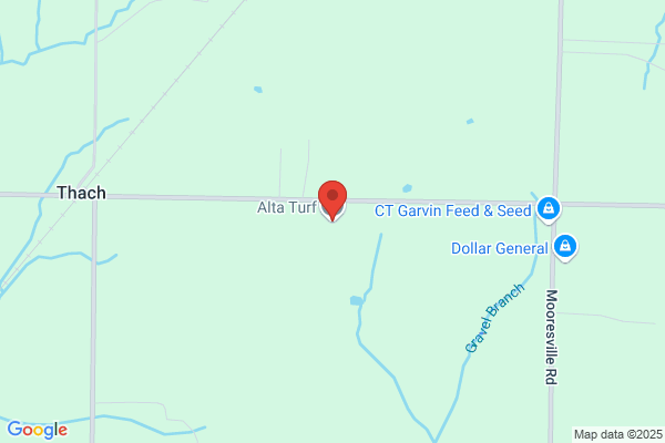 Alta Turf