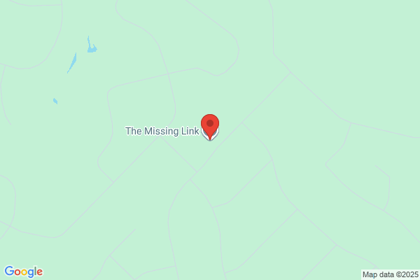 Missing Link