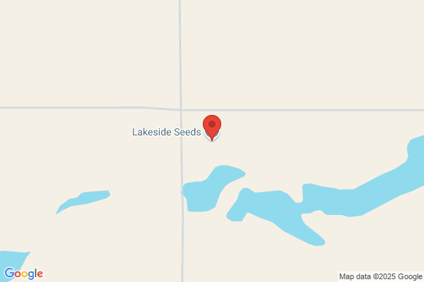 Lakeside Organic Feed & Seed