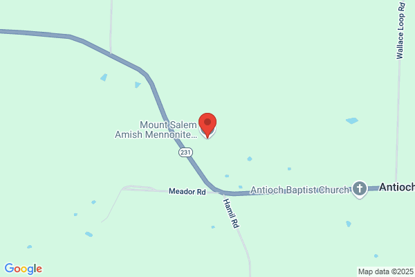 Mount Salem Amish Mennonite School