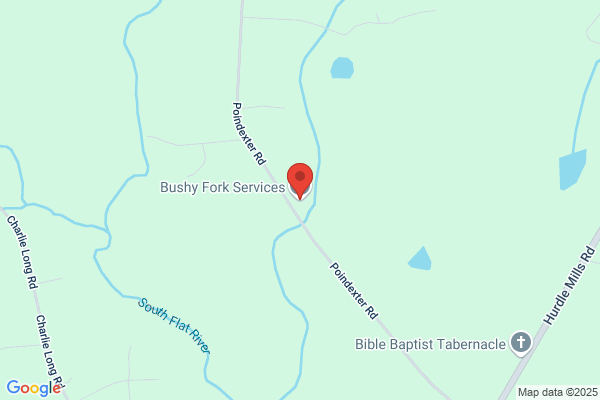 Bushy Fork Services