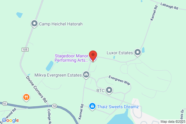 Stagedoor Manor Performing Arts Training Center Camp