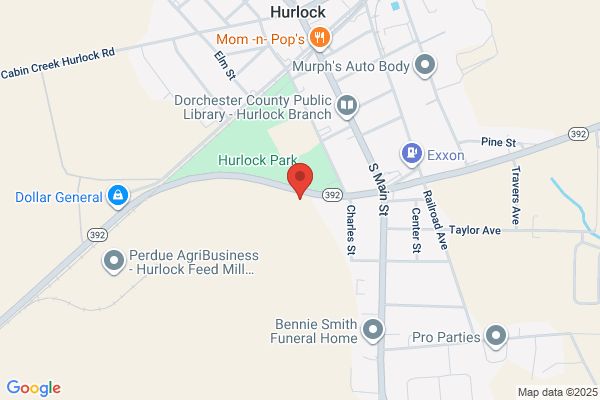 Hurlock Meadows